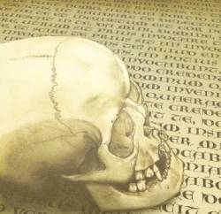 Irony Of Christ : Words of the Forgotten